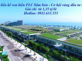  Land for sale in Quang Cu, Sam Son, Quang Cu