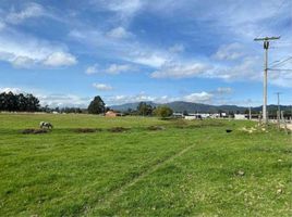  Land for sale in Tocancipa, Cundinamarca, Tocancipa