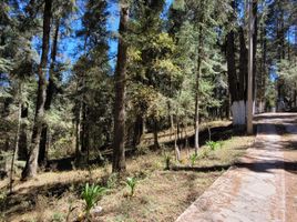 Terreno (Parcela) en venta en Mineral Del Chico, Hidalgo, Mineral Del Chico, Hidalgo