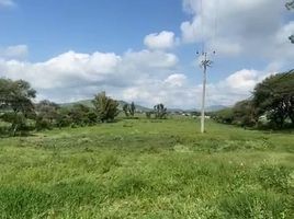 Terrain à vendre à Tlajomulco De Zuniga, Jalisco, Tlajomulco De Zuniga
