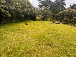  Terreno (Parcela) en venta en Rionegro, Antioquia, Rionegro