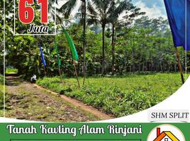  Land for sale in Kepanjen, Malang Regency, Kepanjen