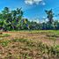  Land for sale in Malang Regency, East Jawa, Kepanjen, Malang Regency