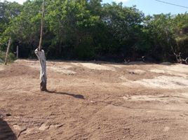 Terrain à vendre à Telchac Puerto, Yucatan, Telchac Puerto