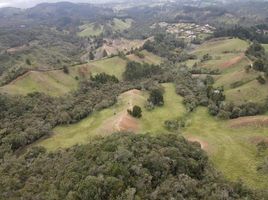 Terrain à vendre à Retiro, Antioquia, Retiro