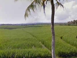  Land for sale in Selemadeg, Tabanan, Selemadeg