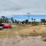  Terreno (Parcela) en alquiler en Torreon, Coahuila, Torreon, Coahuila