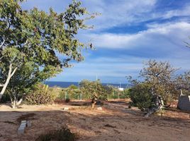 在Baja California Sur出售的 土地, La Paz, Baja California Sur