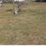  Terreno (Parcela) en venta en Zapopan, Jalisco, Zapopan, Jalisco