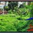  토지을(를) Tampak Siring, 지안 야르에서 판매합니다., Tampak Siring
