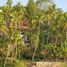 6 Bedroom House for sale in Manzanillo, Colima, Manzanillo