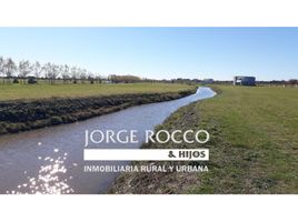  Land for sale in Brandsen, Buenos Aires, Brandsen