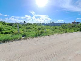  Grundstück zu verkaufen in Chicxulub Pueblo, Yucatan, Chicxulub Pueblo