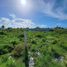  Grundstück zu verkaufen in Chicxulub Pueblo, Yucatan, Chicxulub Pueblo