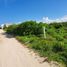  Grundstück zu verkaufen in Chicxulub Pueblo, Yucatan, Chicxulub Pueblo