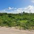  Grundstück zu verkaufen in Chicxulub Pueblo, Yucatan, Chicxulub Pueblo
