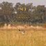  Land for sale in Monte, Buenos Aires, Monte