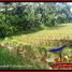  Land for sale in Selemadeg, Tabanan, Selemadeg