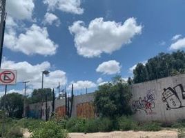  Terreno (Parcela) en alquiler en San Luis Potosi, San Luis Potosí, San Luis Potosi, San Luis Potosí