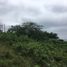  Land for sale in Manglaralto, Santa Elena, Manglaralto, Santa Elena, Santa Elena, Ecuador