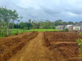  Tanah for sale in Jabung, Malang Regency, Jabung