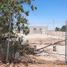  Terreno (Parcela) en venta en Mexicali, Baja California, Mexicali