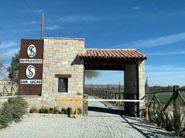  Grundstück zu verkaufen in Allende, Guanajuato, Allende