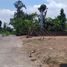  Land for sale in Polanharjo, Klaten, Polanharjo