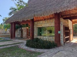 Terrain à vendre à Conkal, Yucatan, Conkal