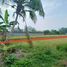  Land for sale in Bantul, Yogyakarta, Pajangan, Bantul