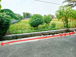  Land for sale in Bantul, Yogyakarta, Pajangan, Bantul