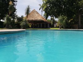 2 Habitación Casa en venta en Temixco, Morelos, Temixco