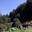  Land for sale in Villa Aldama, Veracruz, Villa Aldama