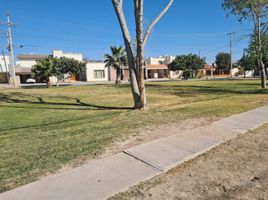  Grundstück zu verkaufen in Torreon, Coahuila, Torreon