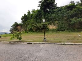  Land for sale in Central Visayas, Cebu City, Cebu, Central Visayas