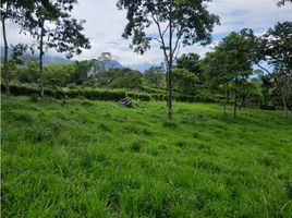  Grundstück zu verkaufen in Tamesis, Antioquia, Tamesis