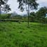  Land for sale in Tamesis, Antioquia, Tamesis