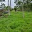  Land for sale in Tamesis, Antioquia, Tamesis