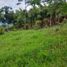  Land for sale in Tamesis, Antioquia, Tamesis