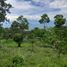  Terrain for sale in Tamesis, Antioquia, Tamesis