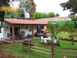 3 Schlafzimmer Haus zu vermieten in Valle De Bravo, Mexico, Valle De Bravo