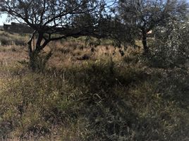  Land for sale in Cerro De San Pedro, San Luis Potosi, Cerro De San Pedro