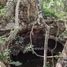  Land for sale in Sotuta, Yucatan, Sotuta