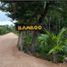  Land for sale in Puerto Morelos Quintana Roo, Puerto Morelos