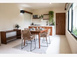 Appartement 1 chambre à vendre à Othon P Blanco, Quintana Roo, Othon P Blanco