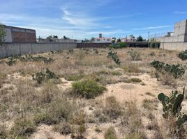  Terreno (Parcela) en venta en San Agustin Tlaxiaca, Hidalgo, San Agustin Tlaxiaca, Hidalgo