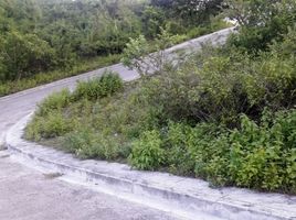  Grundstück zu verkaufen in Liloan, Central Visayas, Liloan