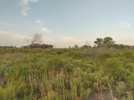  Land for sale in Gualeguaychu, Entre Rios, Gualeguaychu