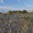  Land for sale in Gualeguaychu, Entre Rios, Gualeguaychu