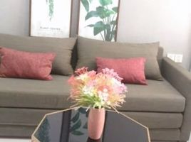 1 Phòng ngủ Chung cư for rent in Phường 4, Quận 4, Phường 4